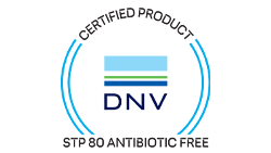 certificazione-stp-80-NO-ANTIBIOTICI_2023-250x141